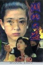 湖北大盗（1993 PDF版）
