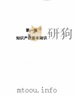 知识产权保护实务全书（ PDF版）