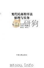 现代民商程序法原理与实务（1995 PDF版）