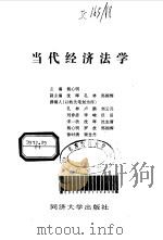 当代经济法学 1997 PDF电子版封面 7560817629 杨心明主编;孔林等撰