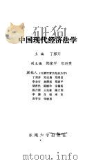 中国现代经济法学 1992 PDF电子版封面 7810235753 丁邦开等撰