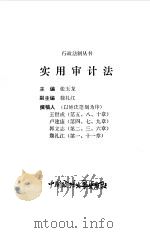实用审计法（1993 PDF版）