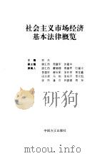 社会主义市场经济基本法律概览 1995 PDF电子版封面 7801070429 徐杰主编;唐汇西等撰稿