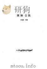 国际公法（1985 PDF版）