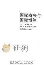 国际商法与国际惯例（1995 PDF版）