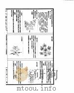 古今图书集成  博物汇编草木典  第七十八至九十一卷（ PDF版）