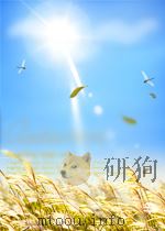 行政院公报  第98号  中华民国十八年十一月九日（ PDF版）