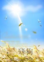 Microsoft Win 32程序参考大全(二)——系统服务、多媒体、系统扩展、应用程序须知 1995 PDF电子版封面 (美)Microsoft Corporation