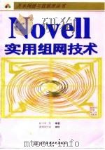 Novell 实用组网技术（1998 PDF版）