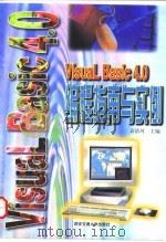 Visual Basic 4.0 for Windows编程指南与实例 1997 PDF电子版封面 7560509010 袁清珂主编