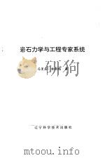 岩石力学与工程专家系统（1993 PDF版）