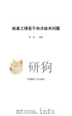 桩基工程若干热点技术问题 1996 PDF电子版封面 7800905470 黄强编著