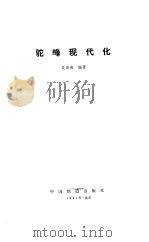 驼峰现代化（1991 PDF版）