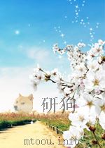 中华人民共和国铁道部部标准  铁路施工技术安全规则汇编 2 通信 信号 电力 电力牵引供电（TBJ405～408-87）（1994年1月第1版 PDF版）