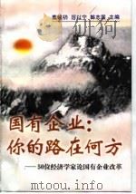 国有企业:你的路在何方 50位经济学家论国有企业改革 1997 PDF电子版封面 7505812173 董辅礽等主编