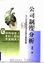 公司制度分析 从产权结构和代理关系两方面的考察 1997 PDF电子版封面 750053339X 黄明著