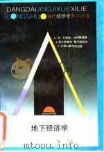 地下经济学（1993 PDF版）