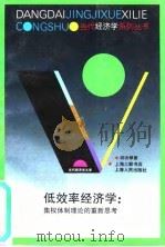 低效率经济学:集权体制理论的重新思考 1995 PDF电子版封面 7208019851 胡汝银