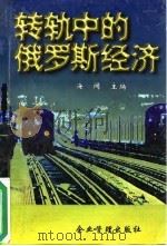 转轨中的俄罗斯经济 1996 PDF电子版封面 7800017214 海闻主编