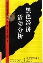 黑色经济活动分析 1995 PDF电子版封面 780118050X 印度国家公共财政及政策研究所著;黄兵等译