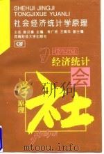 社会经济统计学原理（1996 PDF版）