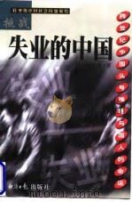 挑战失业的中国  跨世纪中国头号难题与国人的命运（1999 PDF版）