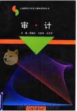 审计 1996 PDF电子版封面 7542609327 周勤业等主编