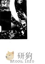石与石神（1994年07月第1版 PDF版）