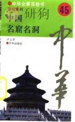 中华全景百卷书-景观系列-中国名窟名洞  45（ PDF版）