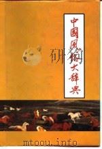 中国风俗大辞典（1991 PDF版）