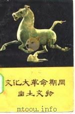 文化大革命期间出土文物（1972 PDF版）