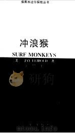 冲浪猴（1996 PDF版）