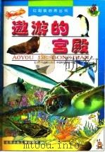遨游的宫殿（1998 PDF版）