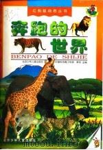 奔跑的世界 1998 PDF电子版封面 7530106503 北京少年儿童出版社中国科协青少年部