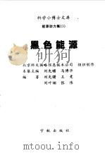 黑色能源（1998 PDF版）