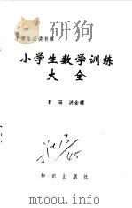 小学生数学训练大全 1995 PDF电子版封面 7501511810 鲁笛,洪金耀著