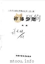 神秘少年（ PDF版）