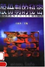 股份制的秘密 1999 PDF电子版封面 7800647463 王雨本
