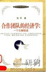 合作团队的经济学 一个文献综述 1999 PDF电子版封面 7810493159 张军著