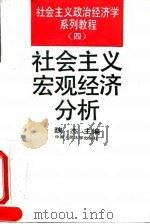 社会主义宏观经济分析 1994 PDF电子版封面 7300018092 魏杰主编