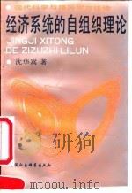 经济系统的自组织理论 现代科学与经济学方法论 1991 PDF电子版封面 7500409192 沈华嵩著