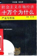 产业与市场（1993 PDF版）