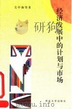 经济发展中的计划与市场（1993 PDF版）
