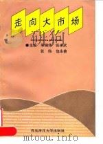 走向大市场   1995  PDF电子版封面  7810267515  朱桐伟等主编 