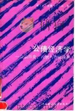 分债经济学——分债历史、现状与理论分析（1990年08月第1版 PDF版）