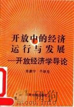 开放中的经济运行与发展 开放经济学导论 1993 PDF电子版封面 7810237462 徐康宁,于新生著