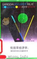 低效率经济学 集权体制理论的重新思考 1992 PDF电子版封面 7542605666 胡汝银著