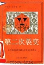 第二次裂变 论市场经济和中国人的文化价值观念 1993 PDF电子版封面 7214010852 严翅君,许夕华著