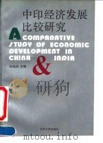 中印经济发展比较研究 1991 PDF电子版封面 7301015186 孙培钧主编