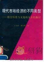 现代市场经济的不同类型 结合历史与文化的全方位探讨 1996 PDF电子版封面 750580930X 左大培,裴小革著